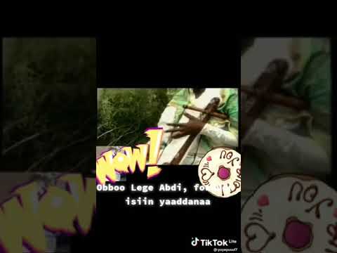 Laggasaa Abdii oromo traditional mesinko music