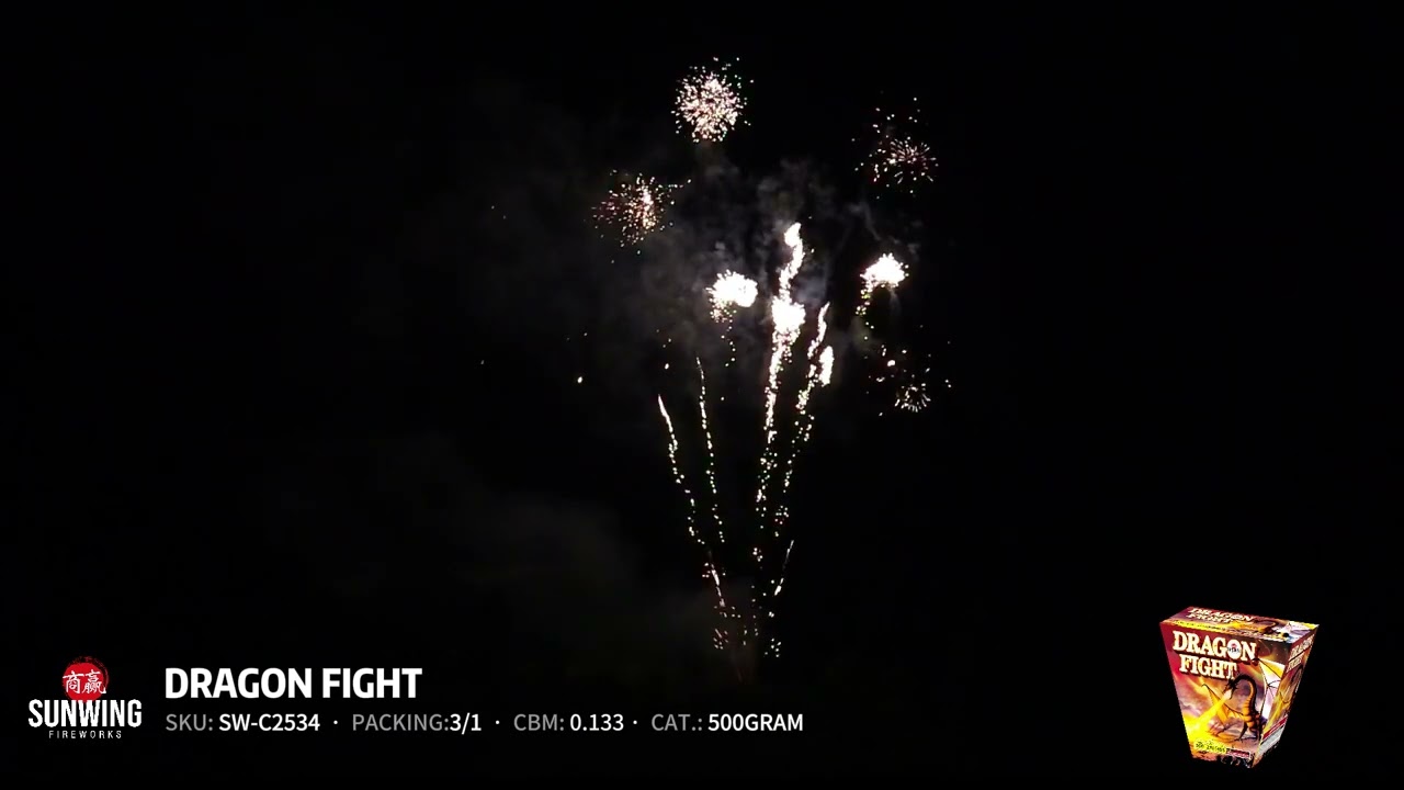 DRAGON FIGHT