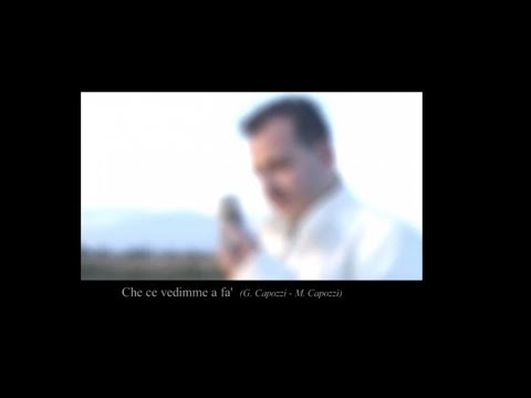 Nino Fiorello - Che ce vediamo a fà