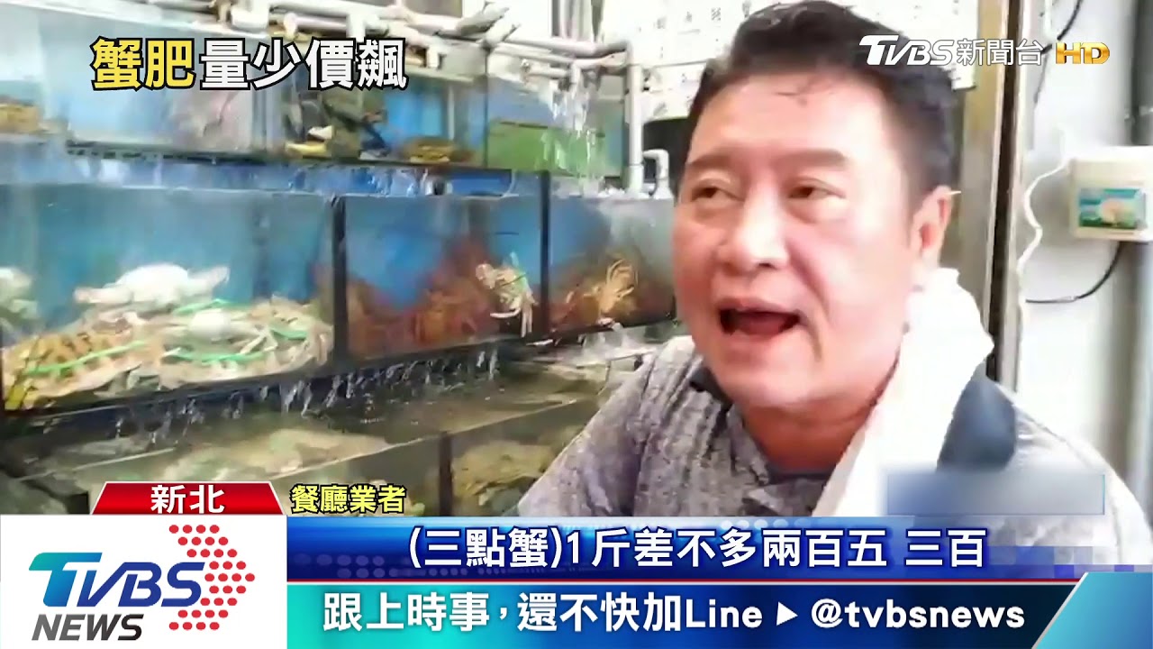 萬里蟹產季!氣溫不降產量少 價格貴3成