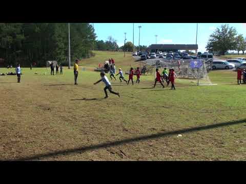 LSA Sharks - U10 white team - 11/19/2017