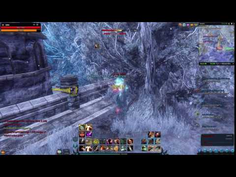 Riders of Icarus -  Assassin Combo