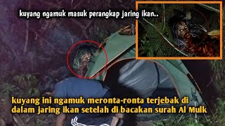 Download lagu CAMPING HORROR BACA SURAH AL MULK DI SARANG HANTU PENGHUNINYA NGAMUK SAMPAI MASUK PERANGKAP IKAN. mp3 Download lagu CAMPING HORROR BACA SURAH AL MULK DI SARANG HANTU PENGHUNINYA NGAMUK SAMPAI MASUK PERANGKAP IKAN. mp3