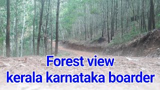 preview picture of video 'Forest view kerala karnataka border'