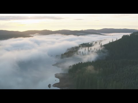 Introduction to Conservation X Labs