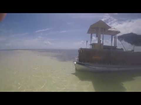 Tiki, Adam, & Chris Just Chilling at the Sandbar (March 9th, 2017)