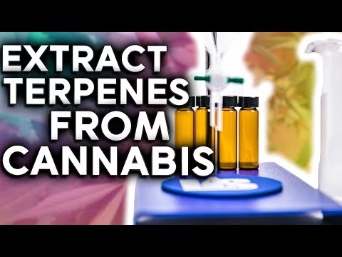 Making Cannabis Derived Terpenes