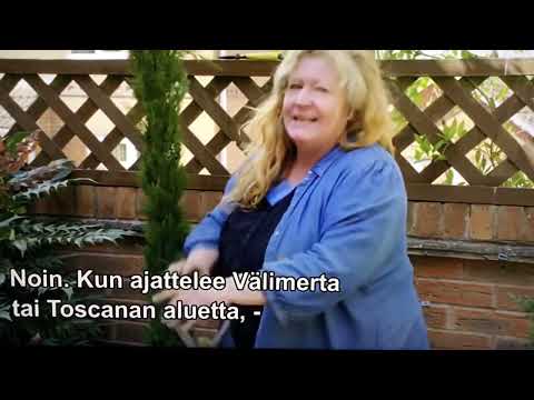 Vaihtoehto uuden teeveen hankintaan, Strong SRT 420 smart digiboksi   HD 1080p