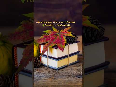 #shorts#landscap#garden#farming