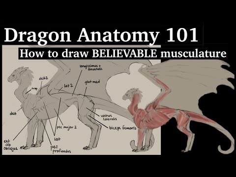How to Draw Believable Dragon Muscles! | Dragon Anatomy 101 | art tutorial