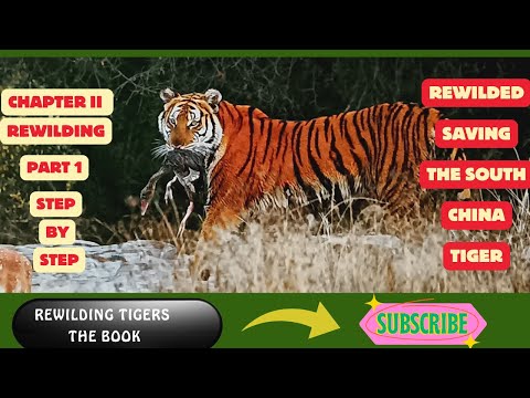 Rewilded Saving the South China Tiger Chapter 2. Part One: Step by Step