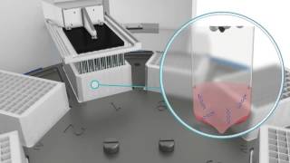 KingFisher Flex System Thermo Fisher Scientific