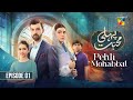 Pehli Mohabbat Episode 01 3rd April 2025 Noreen Gulwani Ibrahim Ali Alavi HUM TV