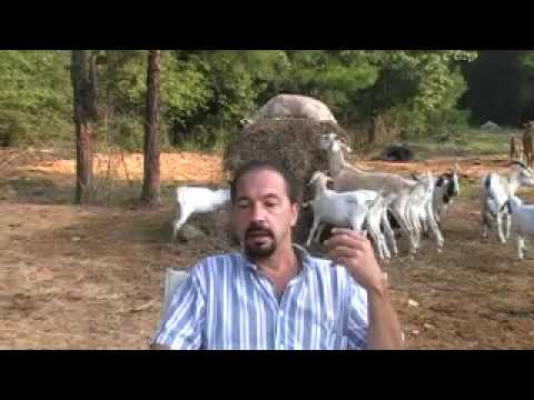 Bible Time Line "Alignment" Using Celestial Phenomena As Never Before | Bible Time