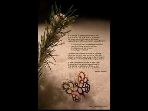 Sommerfuggel i Vinterland   Halvdan Sivertsen