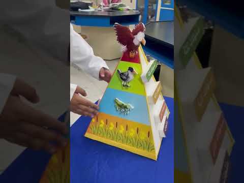 WhatsApp Video 2024 01 22 at 8 56 51 AM