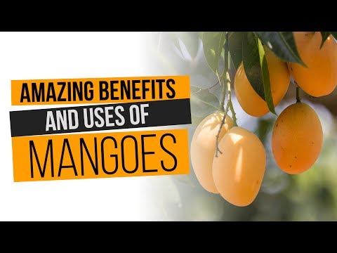 Amazing Benefits and uses of Mangoes