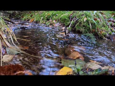 Carlo Resoort - Remover (Club Mix)