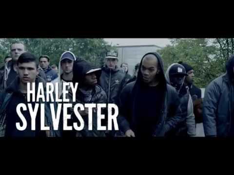 The Guvnors -  In Shops Christmas Eve - DVD + Blu-ray - 2014