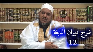 شرح ديوان النابغة الذبياني // 12 // الشيخ محمد محمود الشنقيطي image