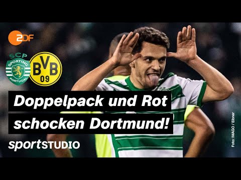 Sporting Lissabon – Borussia Dortmund Highlights | UEFA Champions League | sportstudio