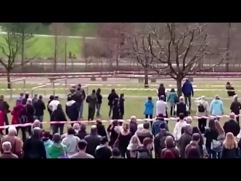 Der goldene Schnurrbart bei der Schuppenflechte des Kopfes Als das nasse Ekzem zu behandeln