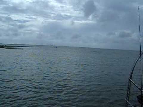 ROISU Fishing in Florida Yankeetown