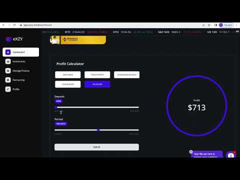 Introducing eXZY: A Look at the main platform site