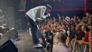 iConcerts - The Hives - Walk Idiot Walk (live).flv