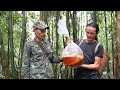 Go to the forest to pick medicine and buy wild honey, Vàng Hoa