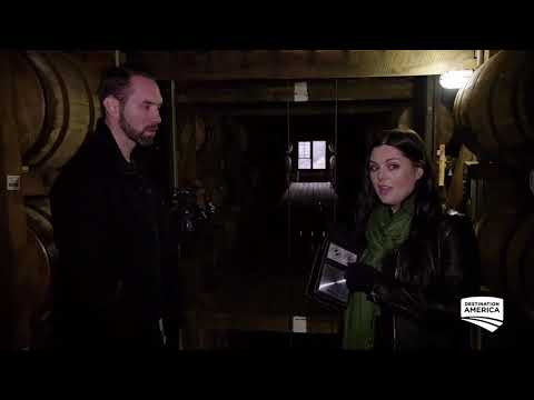 EchoVox 2.0 Classic Edition Video