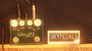 Sky Pedals Cloud 9 Reverb