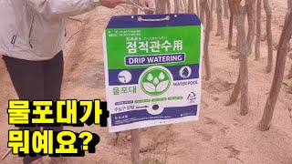 물포대 용도 및 사용방법( feat.나무는 물을 좋아해 )