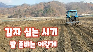 감자 심는시기 밭을 만들기 위해 트랙터 쟁기로 밭갈기 수미감자 감물감자 괴산감자 충북 괴산 풀뿌리농장 (감자…