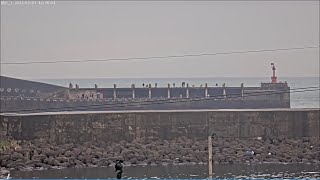 碧砂2