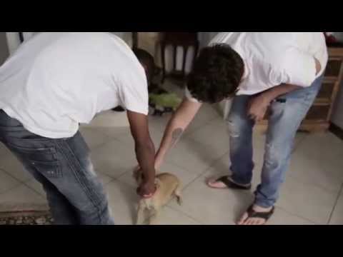 Cafe Shahor Hazak ft Nechi Nech - ihiye