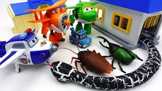 Go Go Super Wings, Poli Town is Under Attack by Monster Bugs