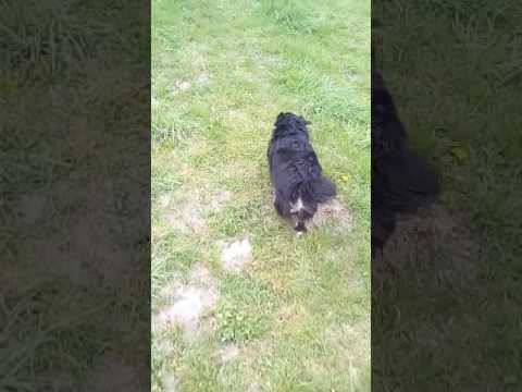 Półtora roku po wizycie u Pana doktora Bogdana Sekuli