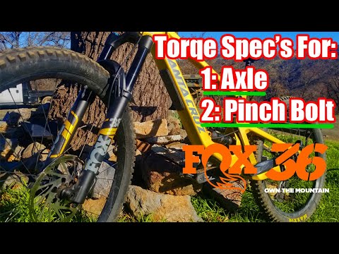 2021 - 2022 Fox 36 Thru Axle & Pinch Bolt Torque Spec's