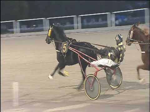 Trotto 08/11/2019 - 6ª corsa