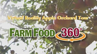 virtual tour apple orchard