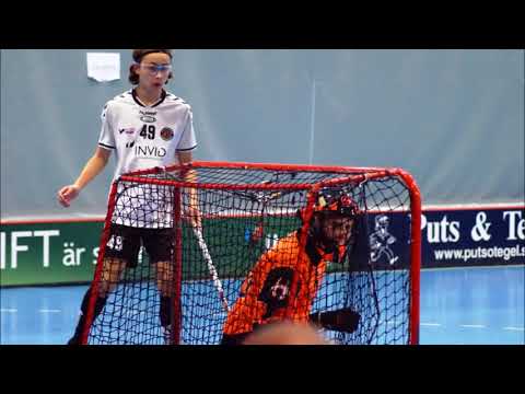 2018 01 21  PK 1  VIB Tillberga Roosters