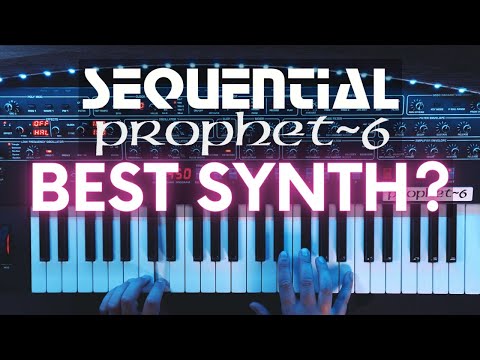 Sequential Prophet-6 Desktop Polyphonic Synthesizer image 6