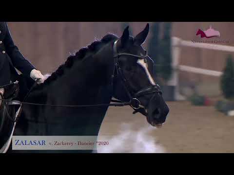 Zalasar v. Zackerey - Dancier - Conteur