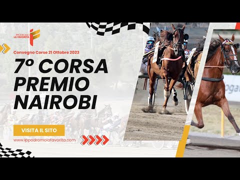 VII Corsa del 21 Ottobre 2023 - 5 Anni ed oltre - Metri 1600 - TQQ