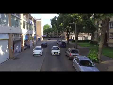 Vani - Niggas & Bitches - Video