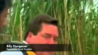 Paul Leary -The Birds Are Dying