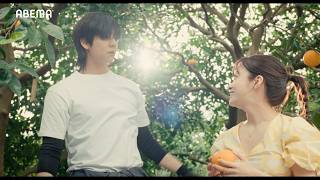 橋本環奈＆チェ・ジョンヒョプが贈る“デトックス・ロマンス”　東村アキコ原作・脚本・監督『バカンスの法則』特報映像