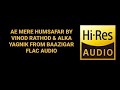 AE MERE HUMSAFAR BY VINOD RATHOD ALKA FROM BAAZIGAR UHQ FLAC AUDIO HINDI 90S SONG