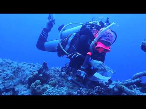 Coral genetics research initiative launched in northern islands